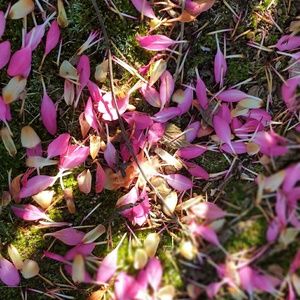 Meet your Posher, Catherine